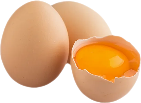 Oeuf