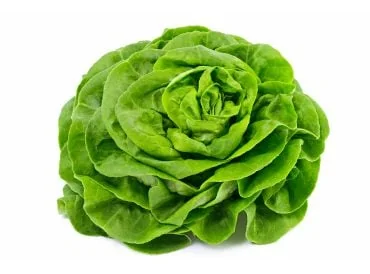 Salade